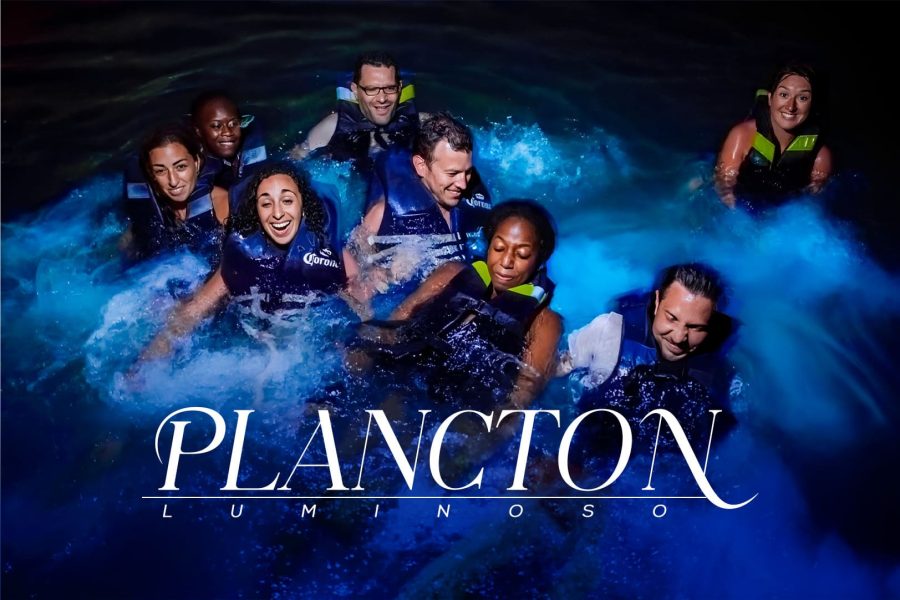 VIP tour of 5 islands and live the plankton experience