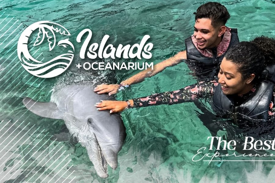 Full day in the Rosario Islands with oceanarium included